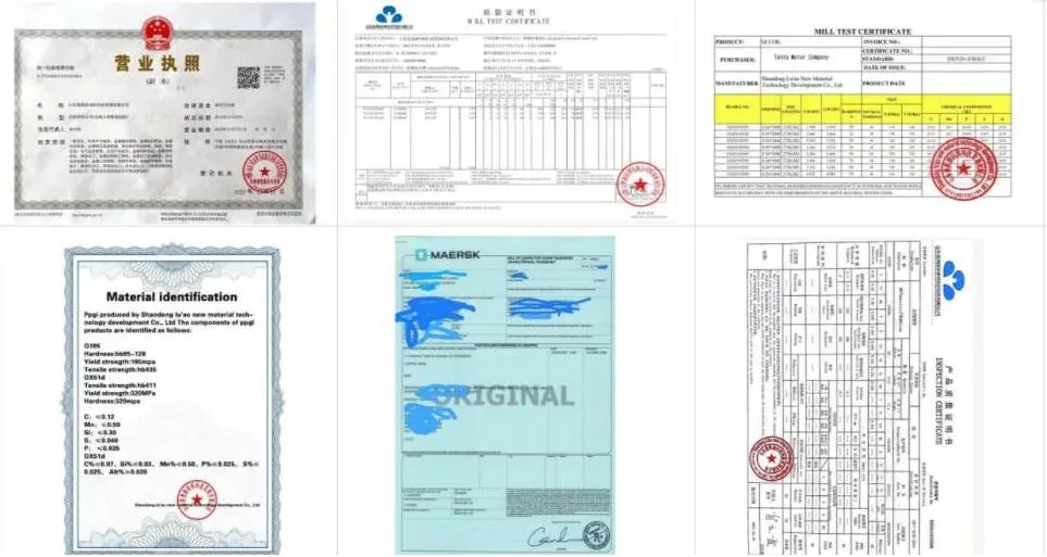 ISO2531, En545, En598 Ductile Iron Mechanical Joint Tee Mj Pipe Fitting